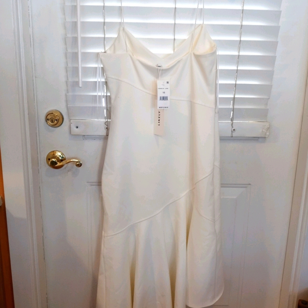 Gorgeous Saks Fifth Avenue dress